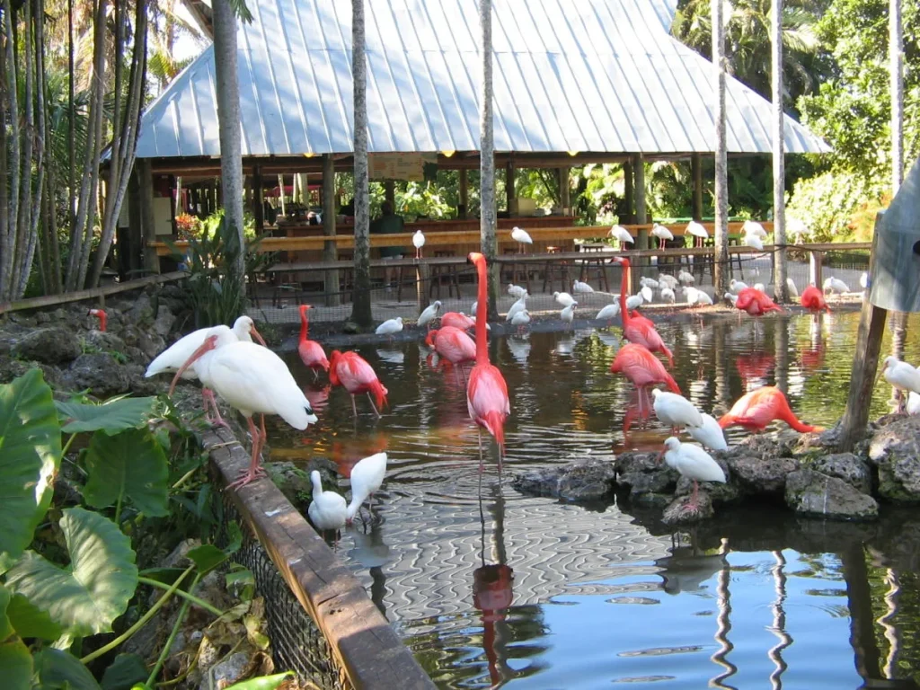 park-davie